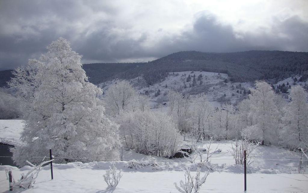 Les Chantenées La Bresse Exterior foto