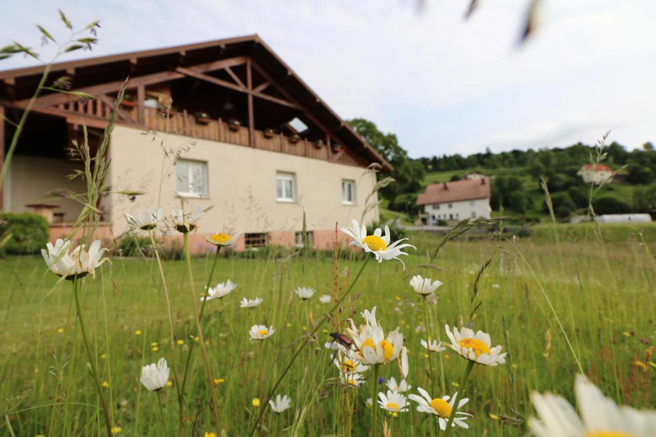 Les Chantenées La Bresse Exterior foto